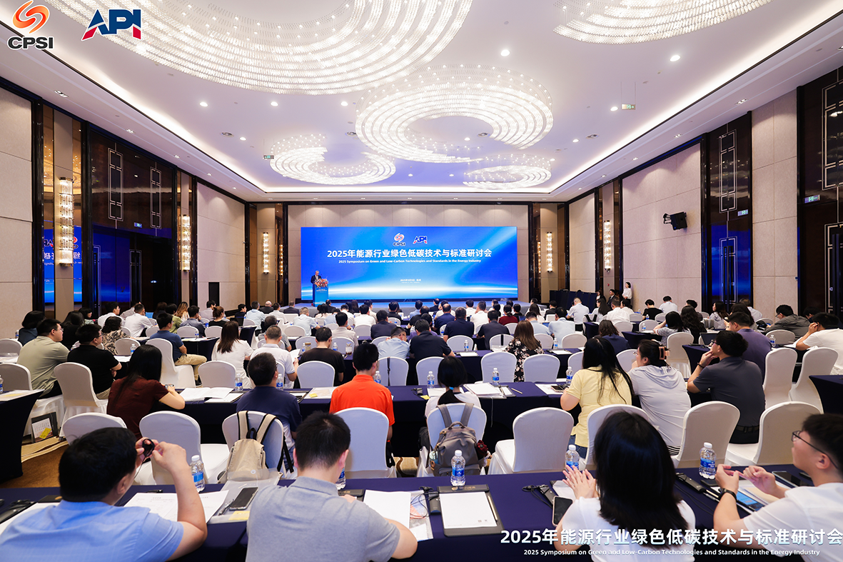 2025年能源行业绿色低碳技术与标准研讨会圆满落幕