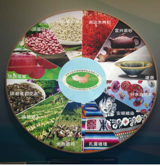 砥砺奋进的五年，地理标志正前行