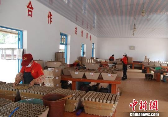 浏阳一家企业在生产烟花爆竹。
