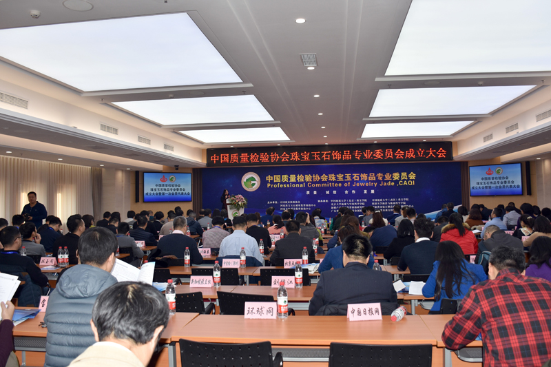 中国质量检验协会珠宝玉石饰品专业委员会在京成立