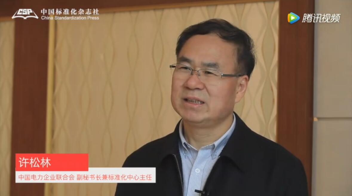 中国电力企业联合会副秘书长兼标准化中心主任许松林