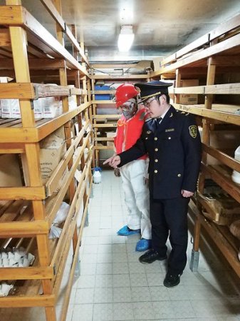 上海宝山检验检疫局对今年首艘来自黄热病疫区的船舶实施检疫