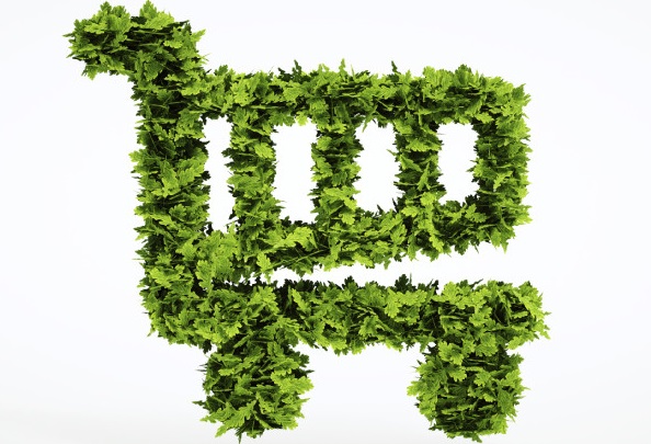 标准如何促进可持续消费